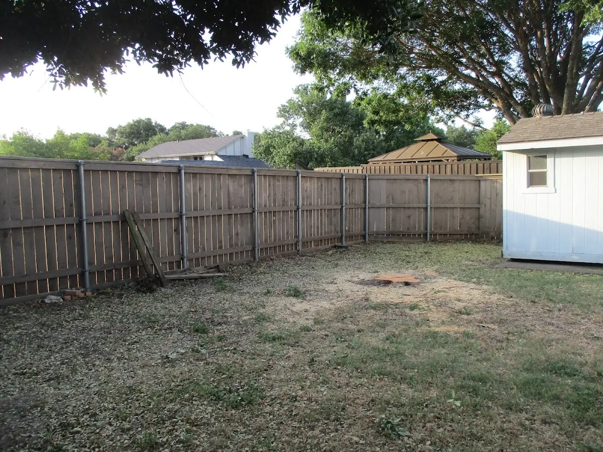 Cleared yard after professional tree removal in Craigmont